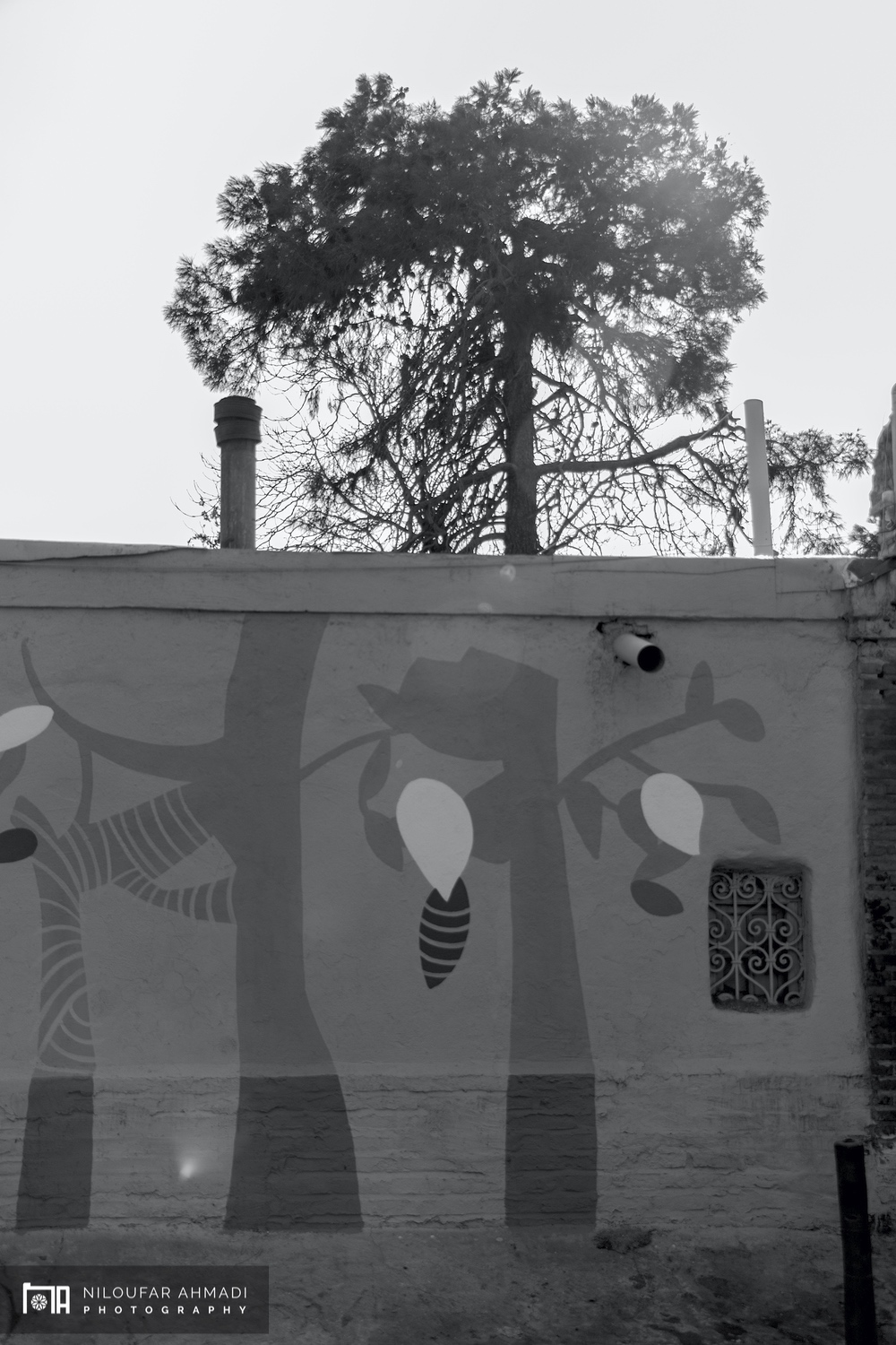 Doulab Cemetery 1 0020